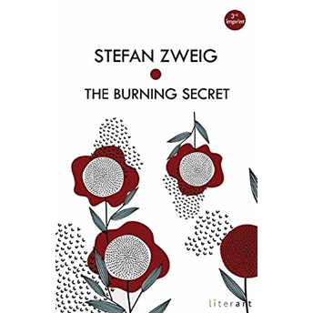 The Burning Secret - Stefan Zweig