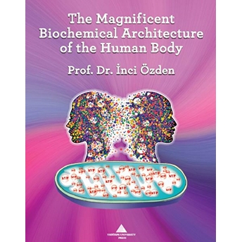 The Magnificent Biochemical Architecture Of The Human Body - Inci Özden