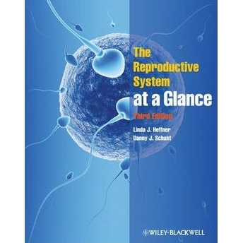 The Reproductive System At A Glance Linda J. Heffner