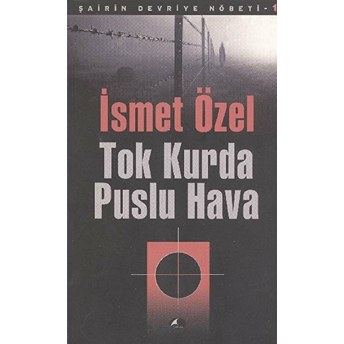 Tok Kurda Puslu Hava Ismet Özel