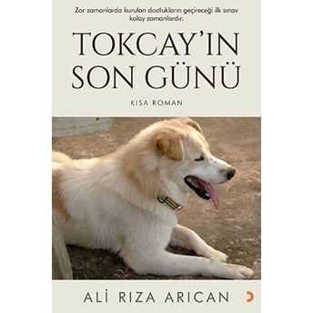 Tokcay’ın Son Günü - Ali Rıza Arıcan - Ali Rıza Arıcan