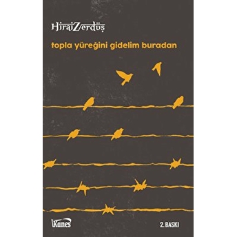 Topla Yüreğini Gidelim Buradan Hirai Zerdüş