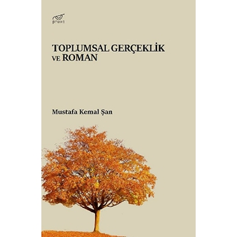 Toplumsal Gerçeklik Ve Roman Mustafa Kemal Şan