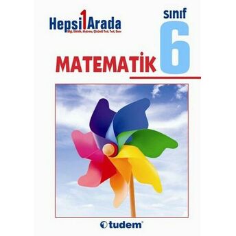 Tudem 6. Sınıf Hepsi Bir Arada Matematik Kolektif