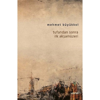 Tufandan Sonra Ilk Akşamüzeri Mehmet Büyükkol