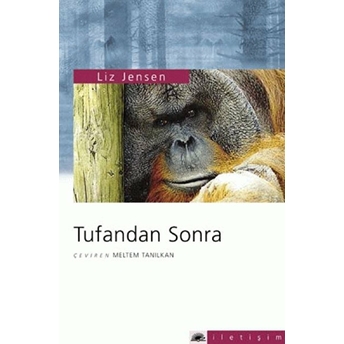 Tufandan Sonra Liz Jensen