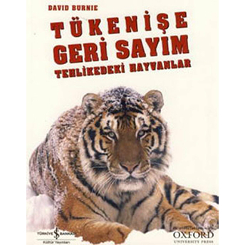 Tükenişe Geri Sayım David Burnie