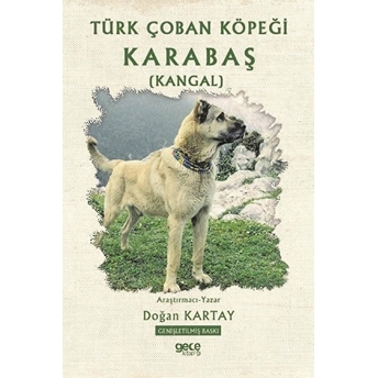 Türk Çoban Köpeği Karabaş (Kangal) - Doğan Kartay