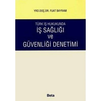 Türk Iş Hukukunda Iş Sağlığı Ve Güvenliği Denetimi