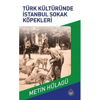 Türk Kültüründe Istanbul Sokak Köpekleri Istanbul Sokak Köpeklerinin Tarihi - Metin Hülagü