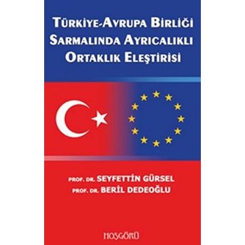 Türkiye Avrupa Birliği Sarmalında Ayrıcalıklı Ortaklık Eleştirisi