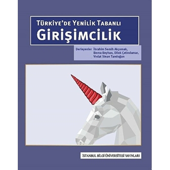 Türkiye’de Yenilik Tabanlı Girişimcilik