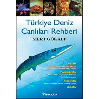 Türkiye Deniz Canlıları Rehberi Mert Gökalp