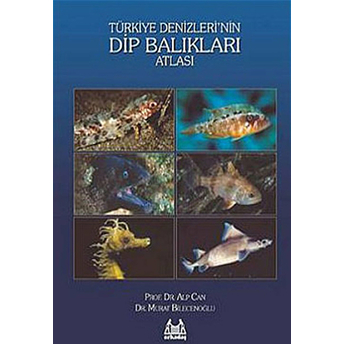 Türkiye Denizlerin Dip Balıkları Atlası Alp Can