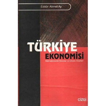 Türkiye Ekonomisi Ahmet Ay