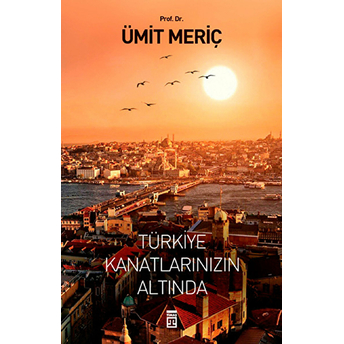 Türkiye Kanatlarınızın Altında Ümit Meriç,Ümit Meriç Yazan