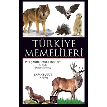 Türkiye Memelileri Şakir Önder Özkurt, Şafak Bulut