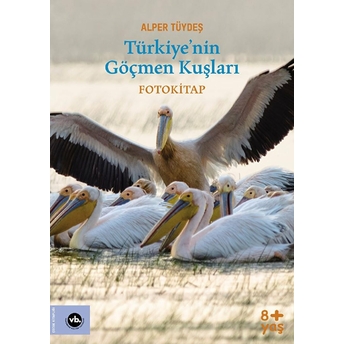 Türkiye’nin Göçmen Kuşları Alper Tüydeş
