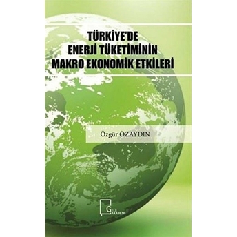 Türkiye'de Enerji Tüketiminin Makro Ekonomik Etkileri - Özgür Özaydın