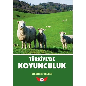 Türkiyede Koyunculuk Yıldırım Çelebi