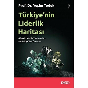 Türkiye'nin Liderlik Haritası Yeşim Toduk