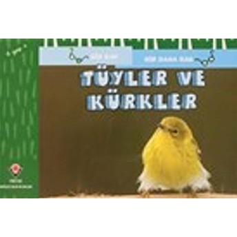 Tüyler Ve Kürkler - Bir Bak Bir Daha Bak David M. Schwartz