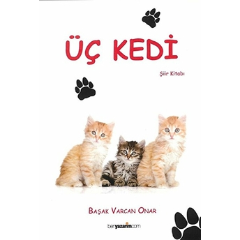 Üç Kedi - Başak Varcan Onar