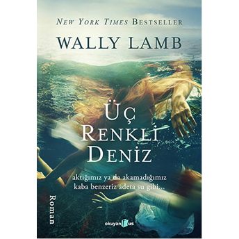 Üç Renkli Deniz Wally Lamb