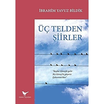 Üç Telden Şiirler Ibrahim Yavuz Bildik