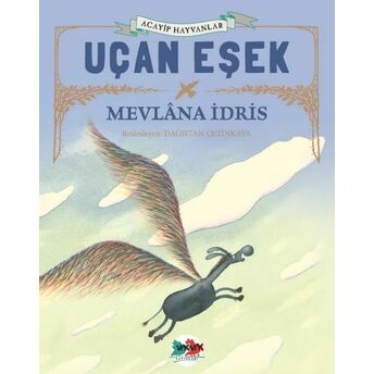 Uçan Eşek Mevlana Idris