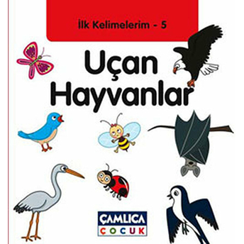 Uçan Hayvanlar / Ilk Kelimelerim -5 Bilal Gezer