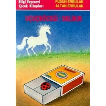 Uçuçböceği / Delikır Füsun Erbulak