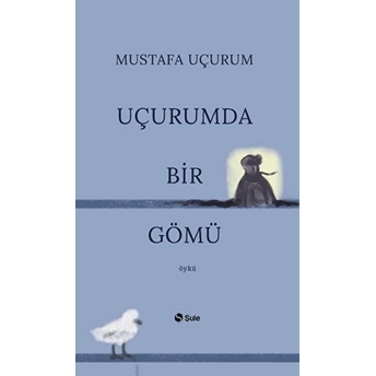 Uçurumda Bir Gömü Mustafa Uçurum