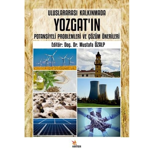 Uluslararası Kalkınmada Yozgat'In Potansiyeli Problemleri Ve Çözüm Önerileri Mustafa Özalp