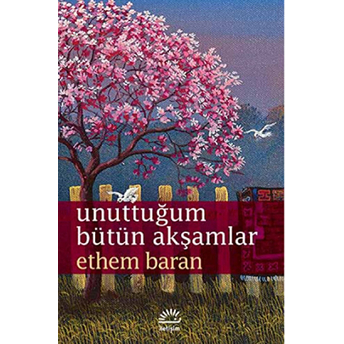 Unuttuğum Bütün Akşamlar Ethem Baran