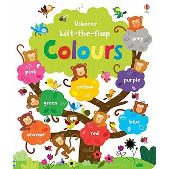 Usb - Lift The Flap Colours Book