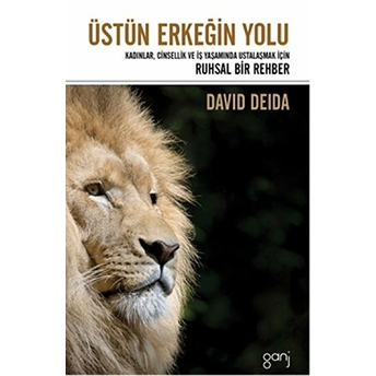 Üstün Erkeğin Yolu David Deida