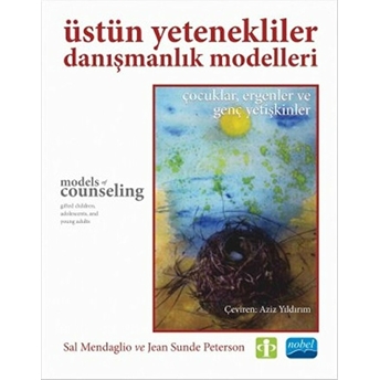 Üstün Yetenekliler Danışmanlık Modelleri