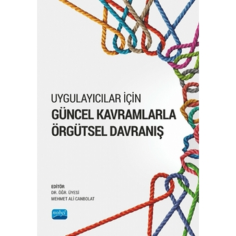 Uygulayıcılar Için Güncel Kavramlarla Örgütsel Davranış Kolektif