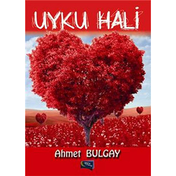 Uyku Hali Ahmet Bulgay