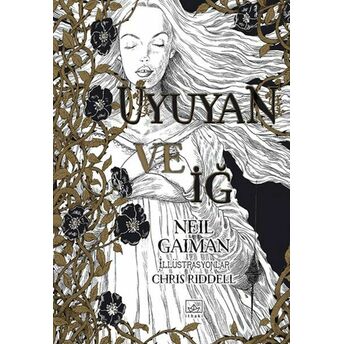 Uyuyan Ve Iğ Neil Gaiman