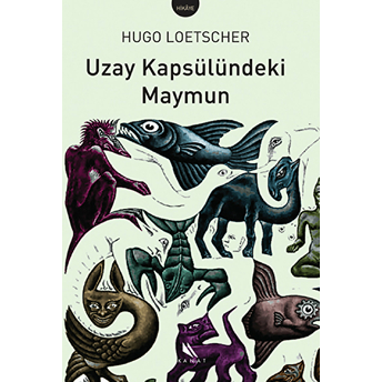 Uzay Kapsülündeki Maymun Hugo Loetscher