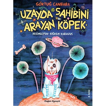 Uzayda Sahibini Arayan Köpek Göktuğ Canbaba