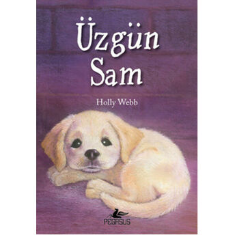 Üzgün Sam Holly Webb