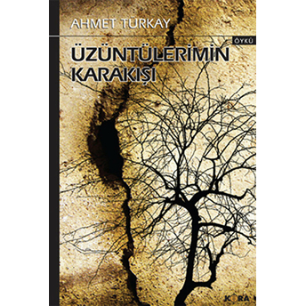 Üzüntülerimin Karakışı-Ahmet Türkay