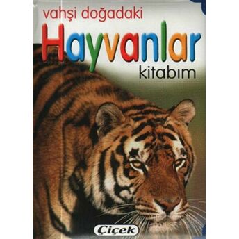 Vahşi Doğadaki Hayvanlar Kitabım Ciltli Kolektif