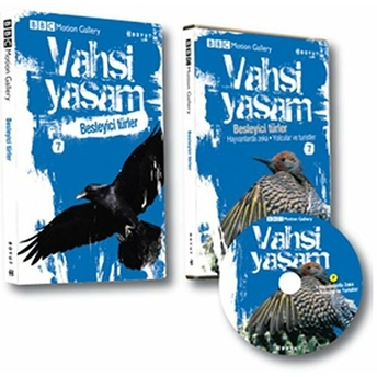 Vahşi Yaşam 2 - Besleyici Türler Derek Niemann