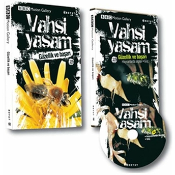 Vahşi Yaşam 2 - Güzellik Ve Başarı Kolektif