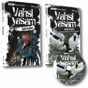 Vahşi Yaşam 2 - Sahil Kuşları Derek Niemann