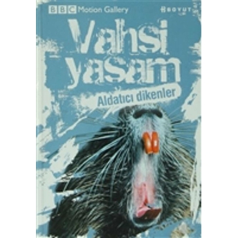 Vahşi Yaşam-Aldatıcı Dikenler Pat Morris